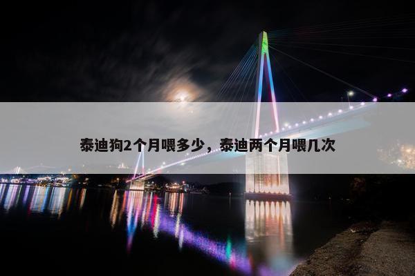 泰迪狗2个月喂多少，泰迪两个月喂几次
