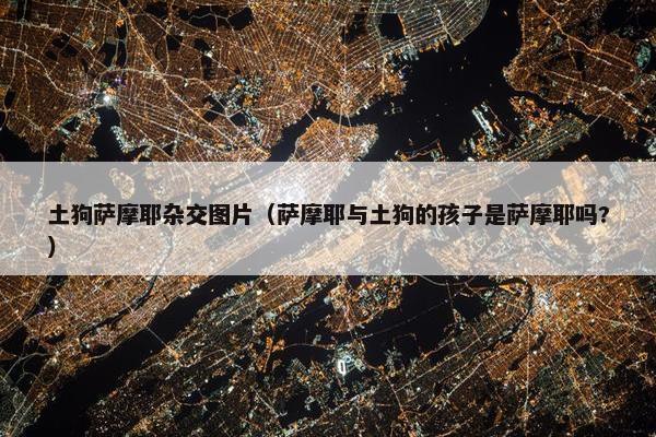 土狗萨摩耶杂交图片（萨摩耶与土狗的孩子是萨摩耶吗?）