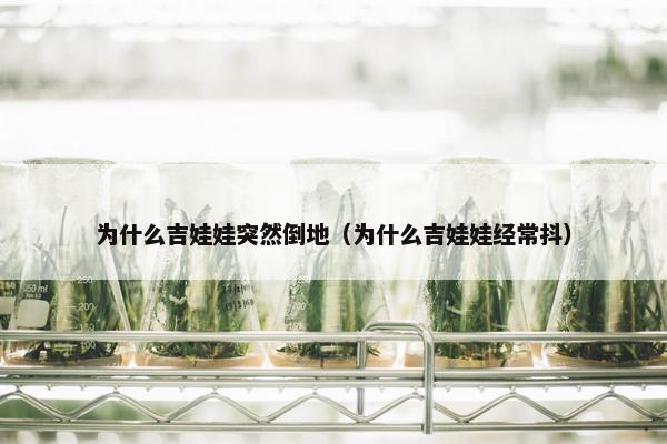 为什么吉娃娃突然倒地（为什么吉娃娃经常抖）