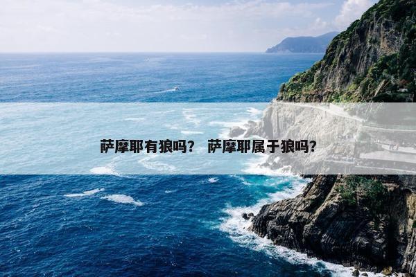 萨摩耶有狼吗？ 萨摩耶属于狼吗？