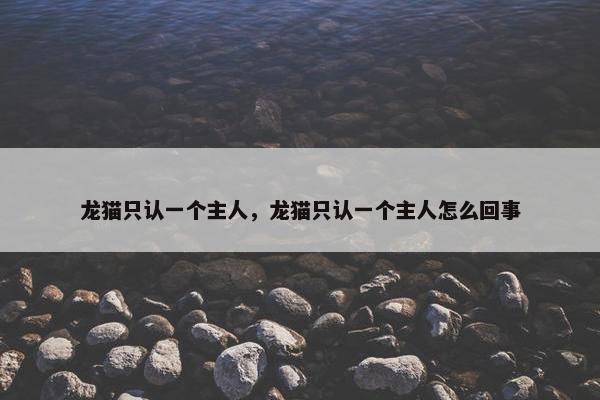 龙猫只认一个主人，龙猫只认一个主人怎么回事