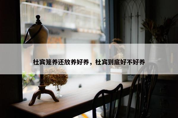 杜宾笼养还放养好养，杜宾到底好不好养