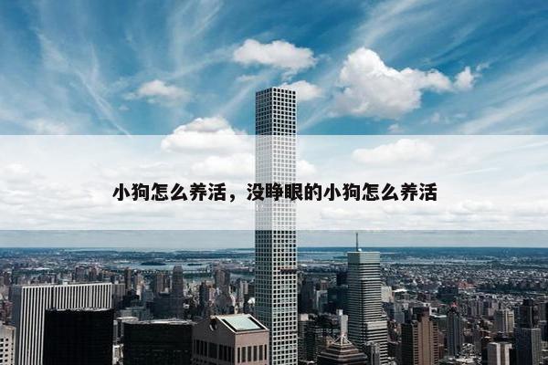 小狗怎么养活，没睁眼的小狗怎么养活