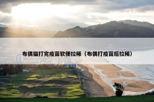 布偶猫打完疫苗软便拉稀（布偶打疫苗后拉稀）