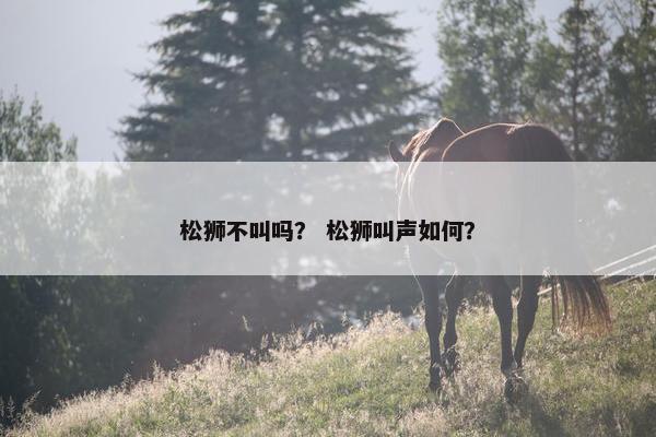 松狮不叫吗？ 松狮叫声如何？