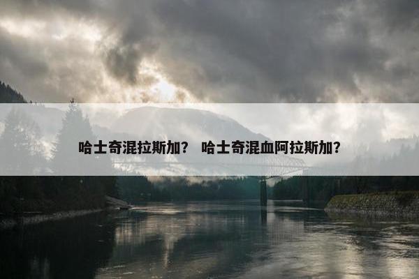 哈士奇混拉斯加？ 哈士奇混血阿拉斯加？