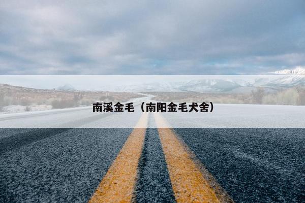 南溪金毛（南阳金毛犬舍）