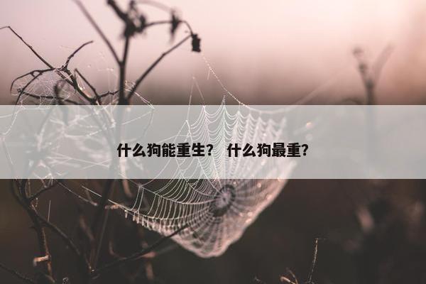 什么狗能重生？ 什么狗最重？