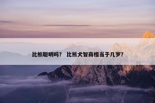 比熊聪明吗？ 比熊犬智商相当于几岁？
