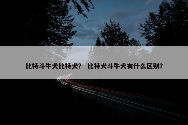 比特斗牛犬比特犬？ 比特犬斗牛犬有什么区别？