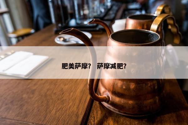 肥美萨摩？ 萨摩减肥？