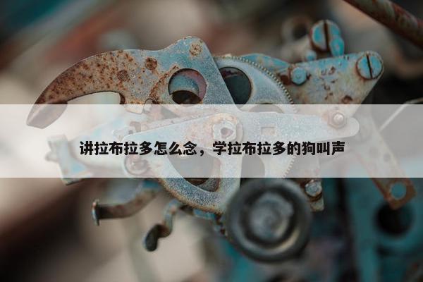 讲拉布拉多怎么念，学拉布拉多的狗叫声