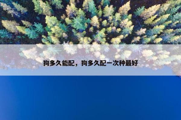 狗多久能配，狗多久配一次种最好