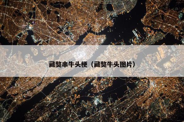 藏獒串牛头梗（藏獒牛头图片）