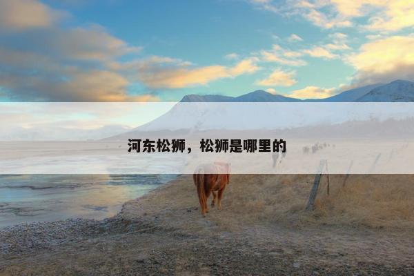 河东松狮，松狮是哪里的