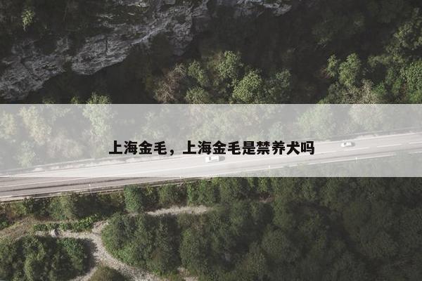 上海金毛，上海金毛是禁养犬吗