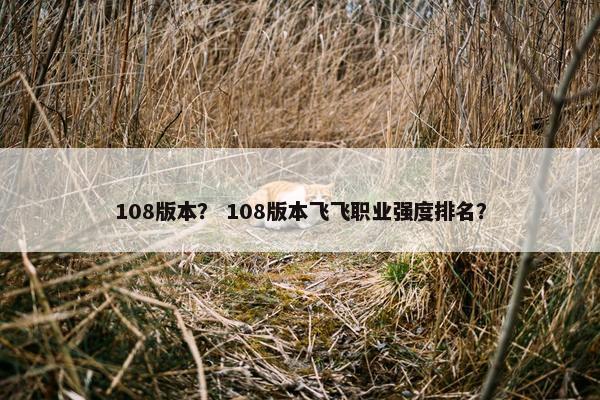 108版本？ 108版本飞飞职业强度排名？