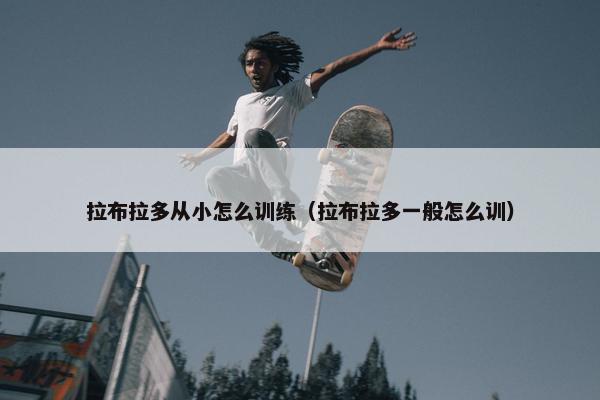 拉布拉多从小怎么训练（拉布拉多一般怎么训）