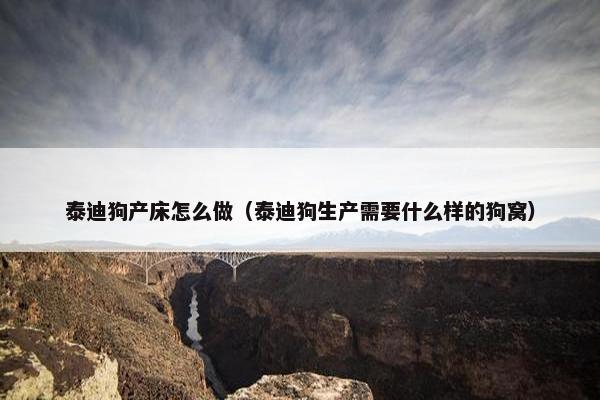 泰迪狗产床怎么做（泰迪狗生产需要什么样的狗窝）
