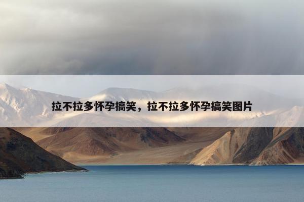 拉不拉多怀孕搞笑，拉不拉多怀孕搞笑图片