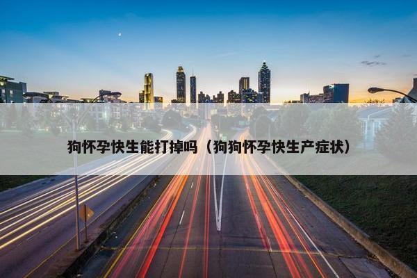 狗怀孕快生能打掉吗（狗狗怀孕快生产症状）
