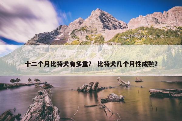 十二个月比特犬有多重？ 比特犬几个月性成熟？