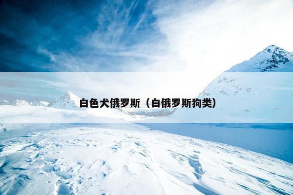 白色犬俄罗斯（白俄罗斯狗类）