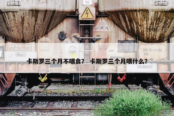 卡斯罗三个月不喂食？ 卡斯罗三个月喂什么？
