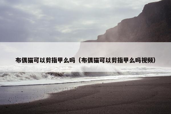 布偶猫可以剪指甲么吗（布偶猫可以剪指甲么吗视频）