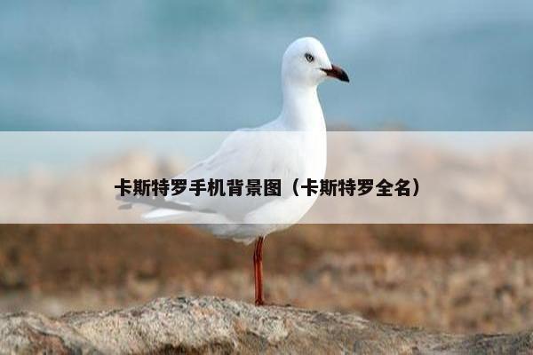卡斯特罗手机背景图（卡斯特罗全名）