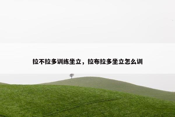 拉不拉多训练坐立，拉布拉多坐立怎么训