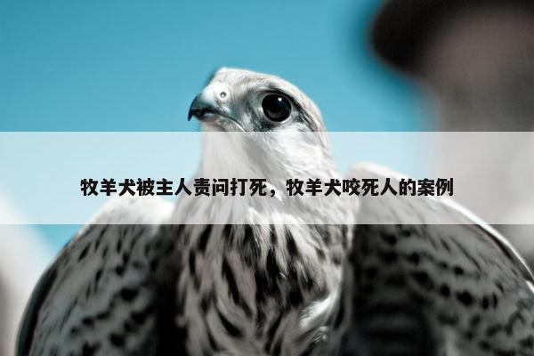 牧羊犬被主人责问打死，牧羊犬咬死人的案例