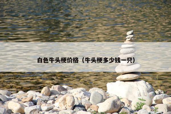 白色牛头梗价格（牛头梗多少钱一只）
