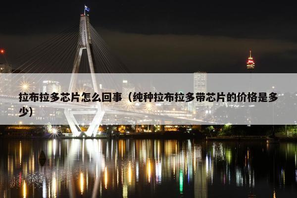 拉布拉多芯片怎么回事（纯种拉布拉多带芯片的价格是多少）