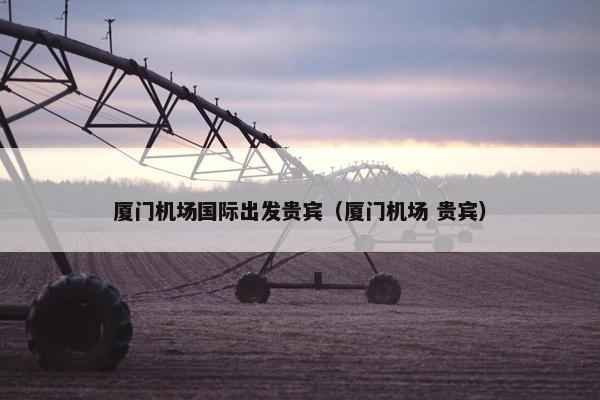 厦门机场国际出发贵宾（厦门机场 贵宾）
