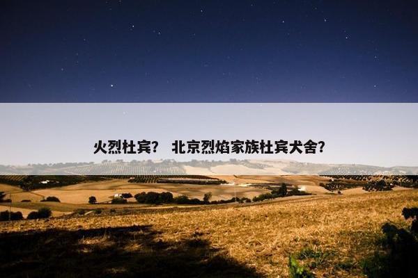 火烈杜宾？ 北京烈焰家族杜宾犬舍？