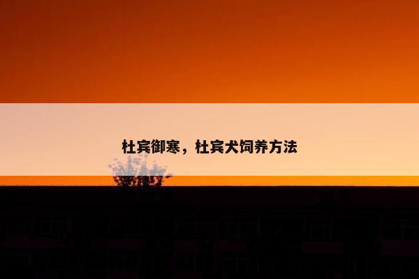 杜宾御寒，杜宾犬饲养方法