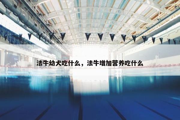 法牛幼犬吃什么，法牛增加营养吃什么