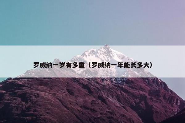 罗威纳一岁有多重（罗威纳一年能长多大）