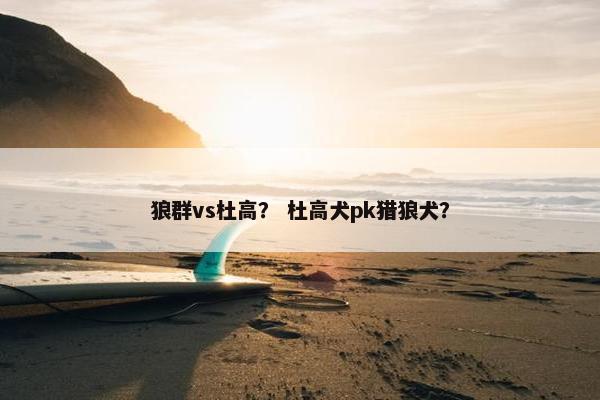 狼群vs杜高？ 杜高犬pk猎狼犬？