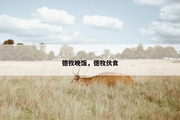 德牧晚饭，德牧伙食