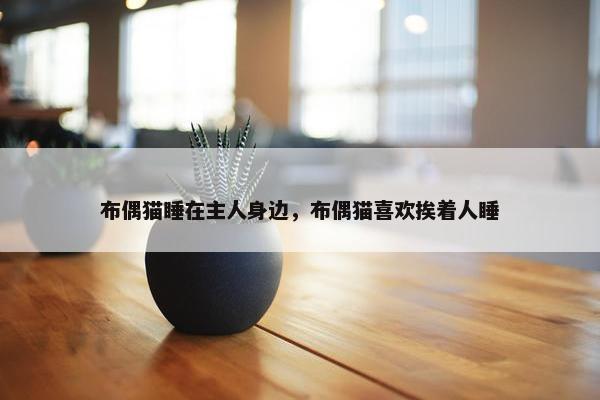 布偶猫睡在主人身边，布偶猫喜欢挨着人睡