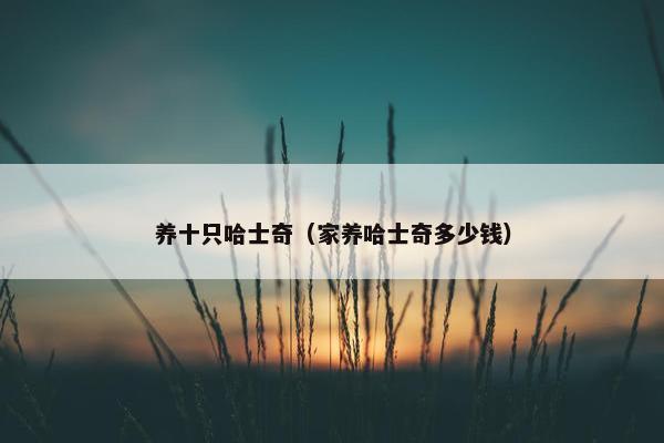 养十只哈士奇（家养哈士奇多少钱）
