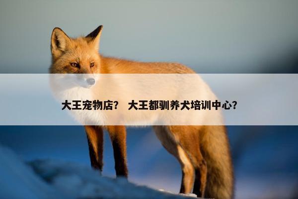 大王宠物店？ 大王都驯养犬培训中心？