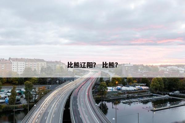 比熊辽阳？ 比熊？
