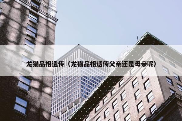龙猫品相遗传（龙猫品相遗传父亲还是母亲呢）
