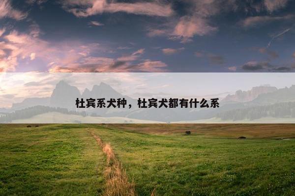 杜宾系犬种，杜宾犬都有什么系