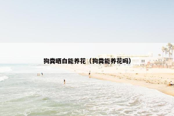 狗粪晒白能养花（狗粪能养花吗）