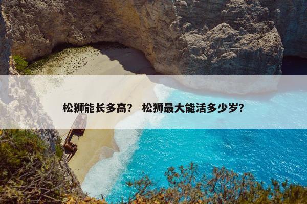 松狮能长多高？ 松狮最大能活多少岁？