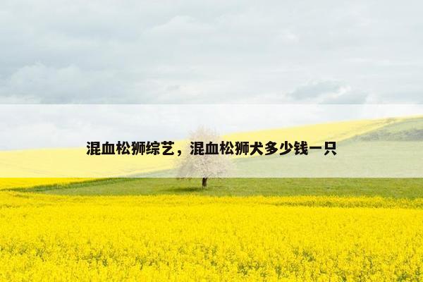 混血松狮综艺，混血松狮犬多少钱一只